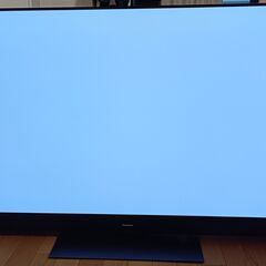 無料配送 美品 2019年 55V型 PanasonicVIERA 4K有機ELテレビ TH-55GZ2000 HDR10 Youtube NETFLIX 多機能リモコン(325)の画像