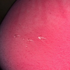 抱いて、寝るやつ。の画像