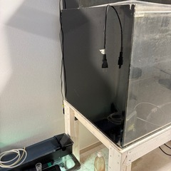 大型水槽
の画像