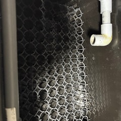 大型水槽
の画像