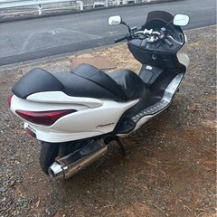 【実働車】HODAN フォルツァ MF08 バイク 250cc の画像