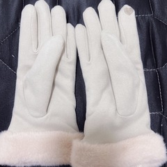 手袋 ベージュ スマホが使える！の画像