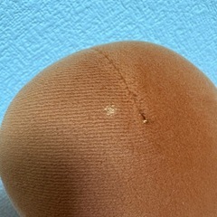 P丸様。 くまくん 大きいぬいぐるみの画像