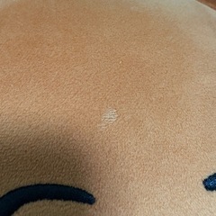 P丸様。 くまくん 大きいぬいぐるみの画像