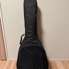 【美品】aNueNue　アコギセットの画像