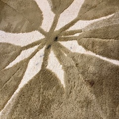 ラグの画像
