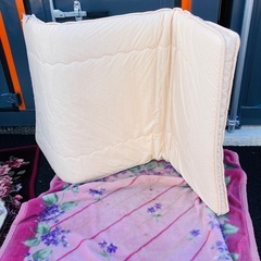 早い者勝ち　西川敷布団の画像