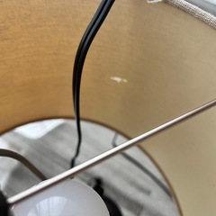 アメリカン ライトの画像