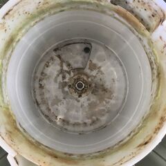 洗濯機の分解クリーニング行っています！配送設置込み　2019年製日立5.0K 洗濯機スリムタイプ分解クリーニング済み！！の画像