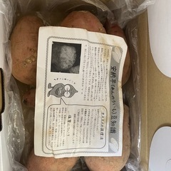 安納芋　1kg の画像