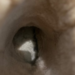 UGG ムートンブーツ　27.0cmの画像