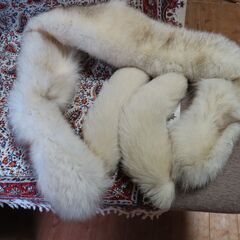 ショール　ブルーフォックス　成人式の画像