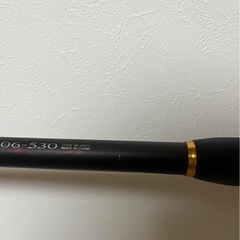 鱗海ax  竿の画像