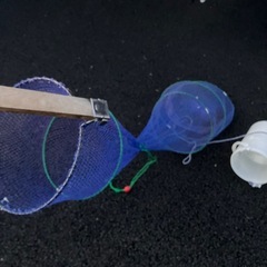 早い者勝ち　無人受け渡し無料　釣り網の画像