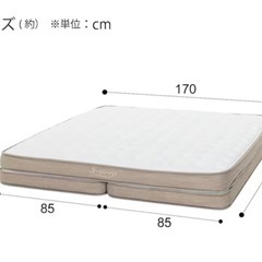 【美品】ニトリ N-sleep （Nスリープ）プレミアム／クイーンサイズの画像