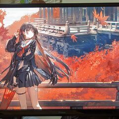 来年01/17 出）23インチモニター　求）23.8インチモニター