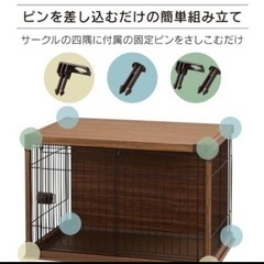 犬 ケージ の画像