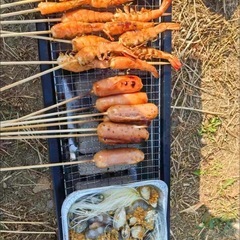 全新未使用 ポータブル炭火バーベキューグリル　炭を引き出して追加できる構造で、美味しさが止まらない！の画像