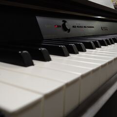 電子ピアノ CASIO カシオ CELVIANO セルヴィアーノ AP-460BN 2016製 動作品の画像