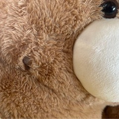 犬用ベッド くま 大きい クッションの画像