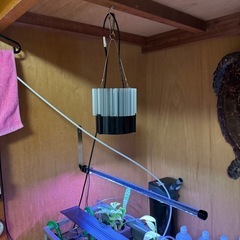 水槽LEDの画像