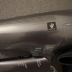 シャープ　プラズマクラスタードライヤー IB-NP9の画像