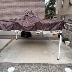 タープテントの画像