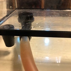 横約40センチ水槽水抜き付き
の画像