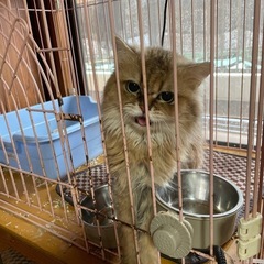 65歳までの方・単身者ご相談ください。