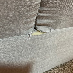 使用期間短いです！
ローソファーの画像