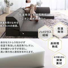 使用期間短いです！
ローソファーの画像
