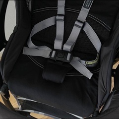 Ｂ型　ベビーカー　ビングルの画像