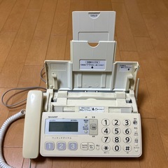 ファジミリの画像