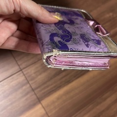 ラプンツェルの財布の画像