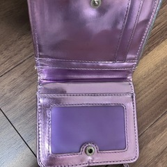 ラプンツェルの財布の画像