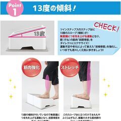 AEROLIFE ツインステップス DR-3750 足踏み健康器具 エアロライフ ステッパー 運動器具 昇降ステップ 除菌清掃/動作確認済みの画像