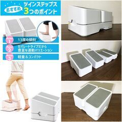 AEROLIFE ツインステップス DR-3750 足踏み健康器具 エアロライフ ステッパー 運動器具 昇降ステップ 除菌清掃/動作確認済みの画像