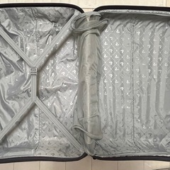 【美品】RONCATO 大型スーツケース100L /TSAロック付きの画像