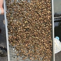 寒さ除け必須アイテムwの画像