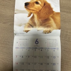 来年のカレンダーの画像