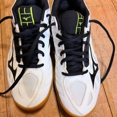 ミズノ　バレーシューズ24.5の画像