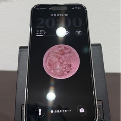 iPhone14pro  Sランク　極美品　大容量　希少　 512gb  　の画像