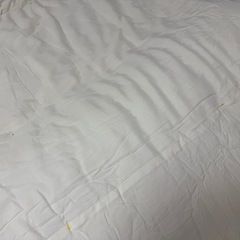 シングル掛け布団をお譲りします。の画像