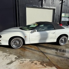 シボレー　カマロ　コンバーチブル　一時抹消の画像