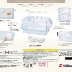 決まりました。の画像