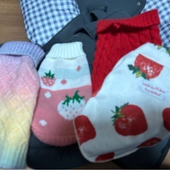 ペットショルダーバッグ　服　帽子
の画像