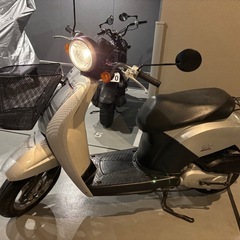 ホンダ　トゥデイ　実働車　ワンオーナー距離少の画像