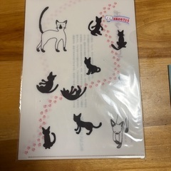 クリアファイルの画像