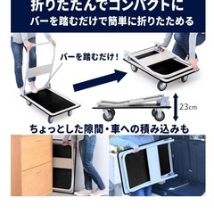 アイリスプラザ 台車 折りたたみ の画像