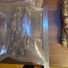 テラリウム、アクアリウム、コルク樹皮の画像